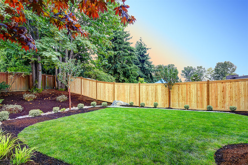 A backyard with a neatly trimmed green lawn, landscaped garden beds with mulch and small shrubs, surrounded by a tall wooden fence and trees under a clear blue sky at sunset.