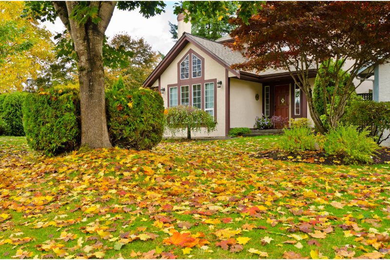 Fall Yard Maintenance Tips for the Homeowner 1 Fall Yard Maintenance Tips for the Homeowner
